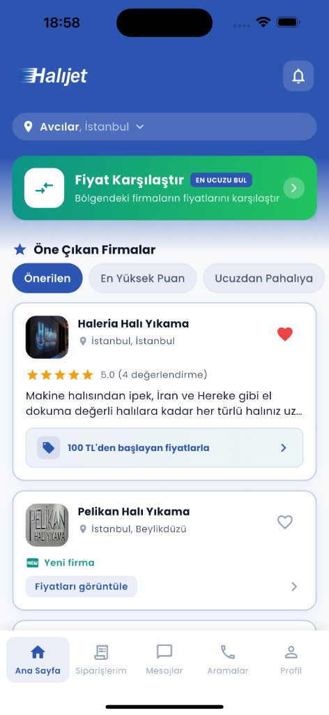 Halıjet ana sayfa
